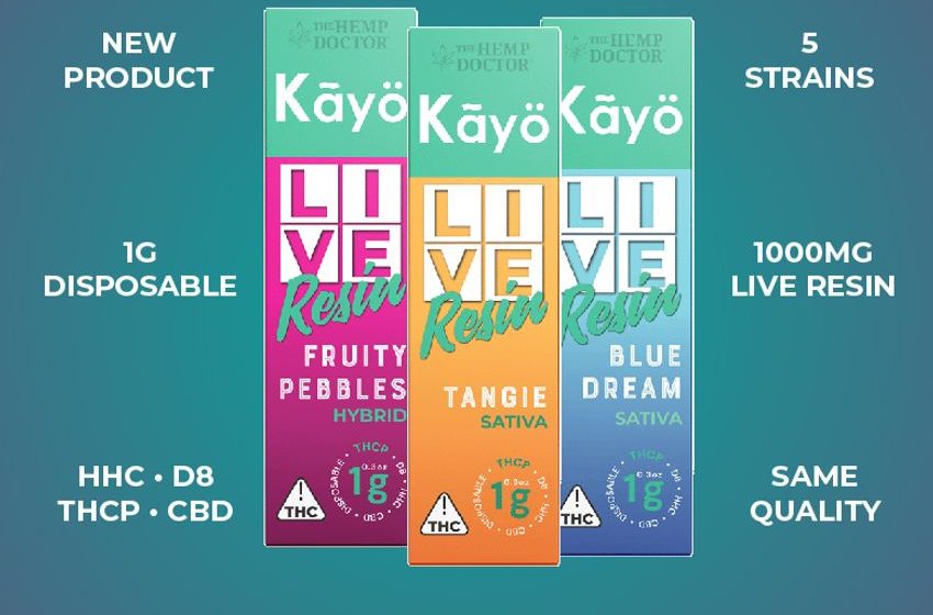  Meet Kayo 1G Live Resin Disposable – The Hemp Doctor’s Newest Heavy Hitter