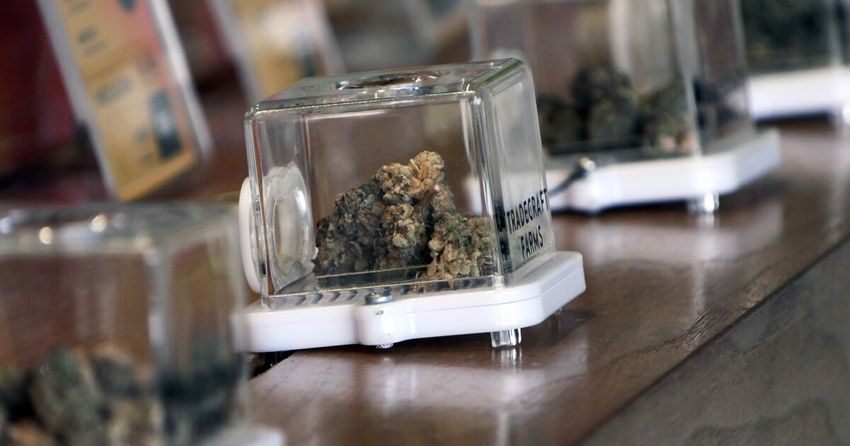  San Diego Increases Retail Cannabis Tax Rates From 8 to 10%