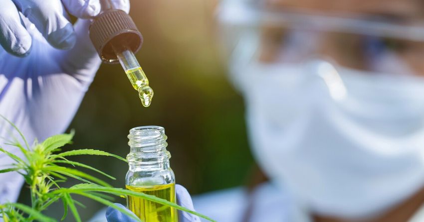  Better CBD: Breakthrough formulation improves efficacy and shelf life