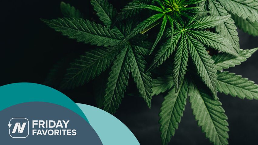  Friday Favorites: Cannabis for Inflammatory Bowel Disease (IBD)