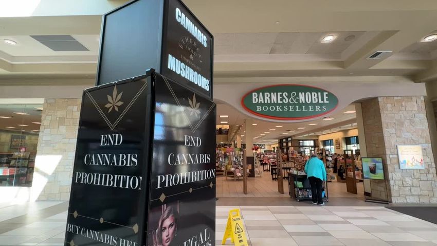  Cannabis, psychedelic mushroom kiosk at Brookfield Square draws attention