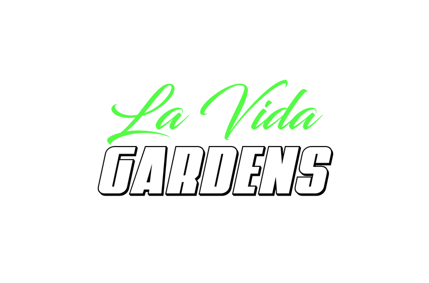  La Vida Gardens Celebrates Dispensary Opening in Belleville, NJ with Kickoff Event