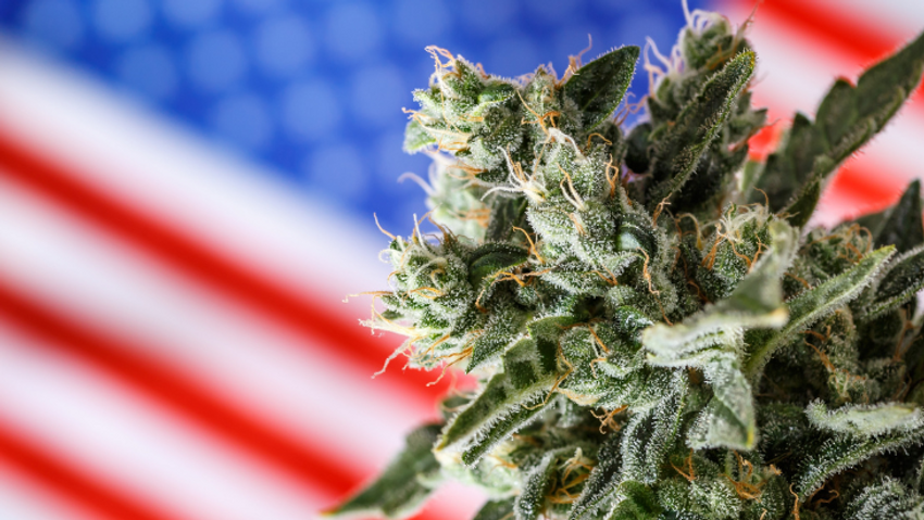  NORML Op-Ed: Marijuana Consumers Are Under Attack in Multiple States and It’s Time to Fight Back