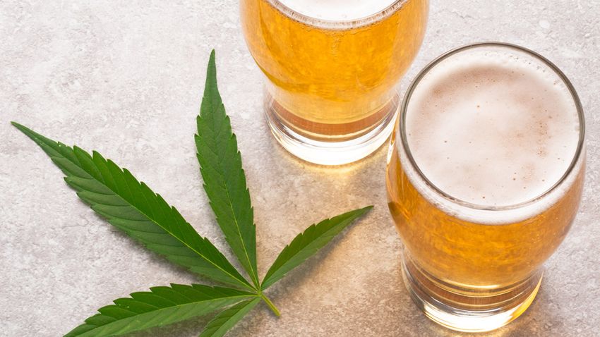  Poll Finds Most People Think Alcohol Is More Harmful Than Marijuana, But They’d Still Rather Drink